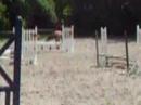 f�te du club