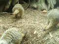 Zoo Dayy