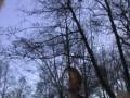 SONG MARATHON - DAY 38