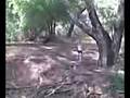 white bend swing