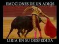 videos de Pepín Liria