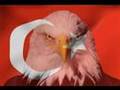 afrodisiak 2007 yabanc�