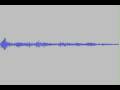 EVP Screaming Ghost Very Strange and Scary!