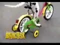 bicycle dog / Chien cycliste bicycle dog / Chien cycliste