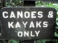Juniper Springs Paddle Trip with Dad