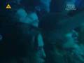 Kazik Na Żywo - Piosenka Trepa (live)