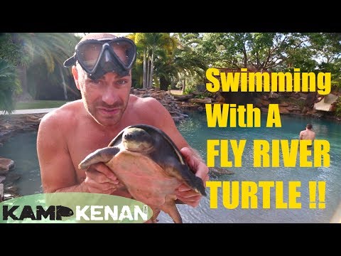 YouTube reptile video