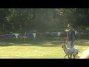 Guinness Schtzhund 1 Regional OB Routine