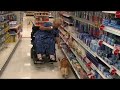 Gizmo the Service Dog