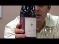 Petite Sirah is it the same as Syrah? Is Petite Sirah bigger or smaller then Syrah? Is Petite Sirah the same as Durif? All these questions and more will be answered by a sad Gary Vaynerchuk.