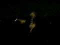 Rolling Down Like An Ass Rolling Down Like An Ass