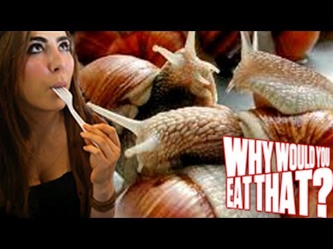 snails - In this episode of Why Would You Eat That? Michael and Chris jet set to France, whose cuisine includes delicacies like horse meat, calves' brains and snails....