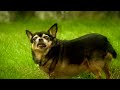 HV30 FOCUS/SLOW MOTION HV30 FOCUS/SLOW MOTION