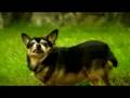 HV20 / HV30 / HV40 FOCUS/SLOW MOTION