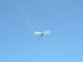 RC Helicopter Crash Funny !!!