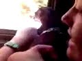 asomando la cabeza en el autobus