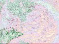 making-strangers-water-colors-christopher-stelling.html