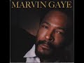 MR.FBI (MARVIN GAYE BEAT)