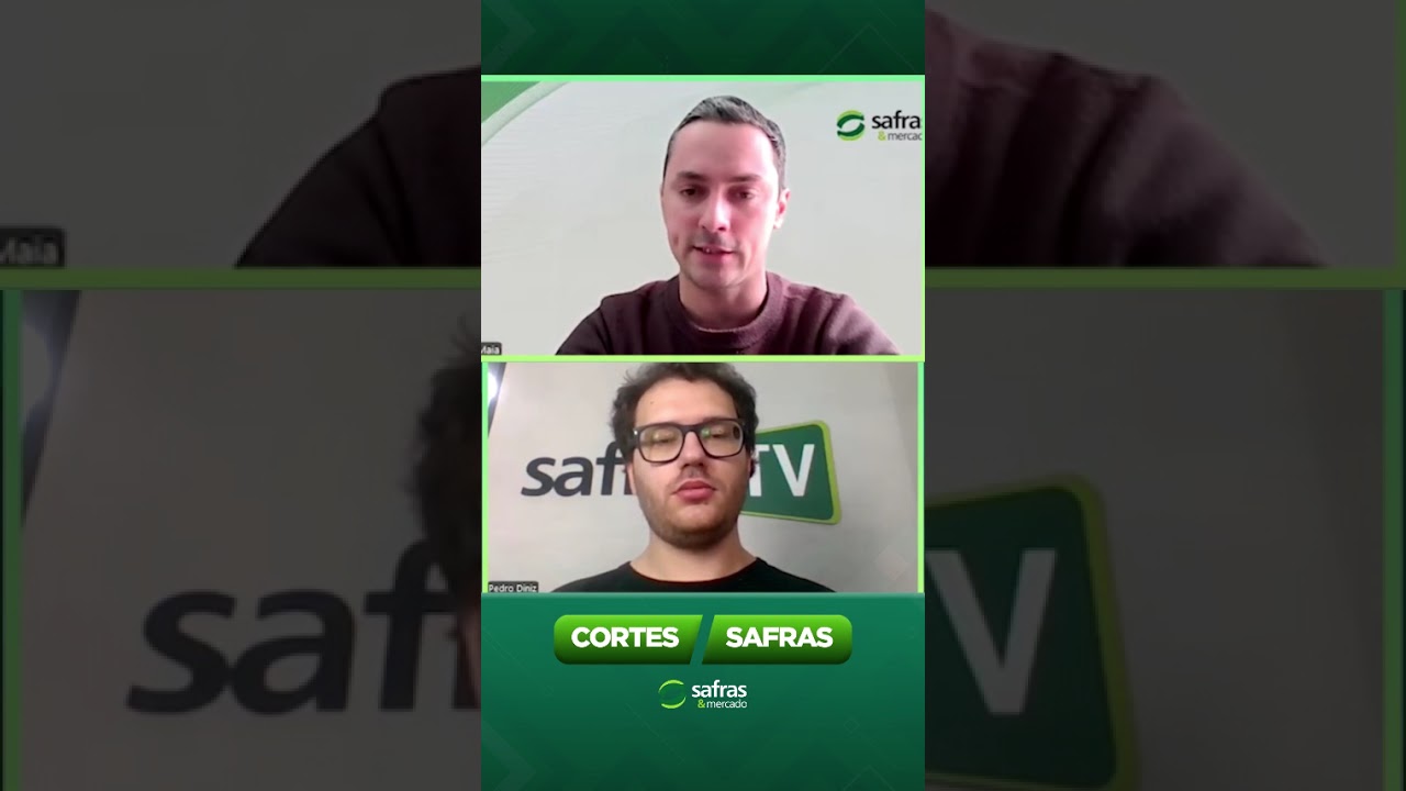 🐷 Quais são as perspectivas para o mercado de suínos?