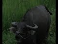 Africa, India, China, Europe Travel