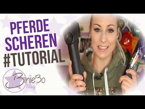 Carlsson scheren! | Heiniger Maschinen im Test | #TUTORIAL