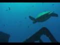 Diving the YO-257 in High Def