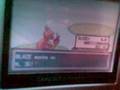 videos de évolution de reptincel shiny
