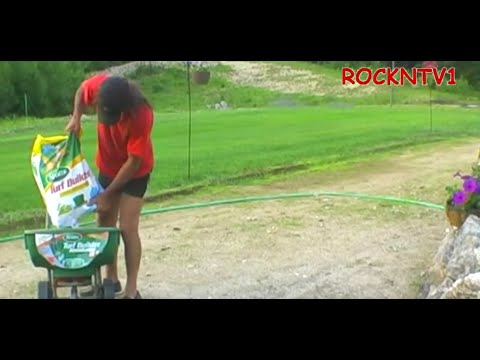 how to apply liquid weed n feed