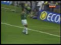Campeão Brasileiro 1993 e 1994
