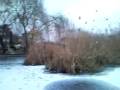videos de lacul snagov omnia 320x240