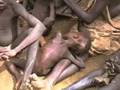 Sudan: The Silent Genocide