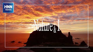 450만년의 세월을 품은 독도