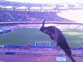 Napoli Chievo 2-0 Rigore Live In Curva 