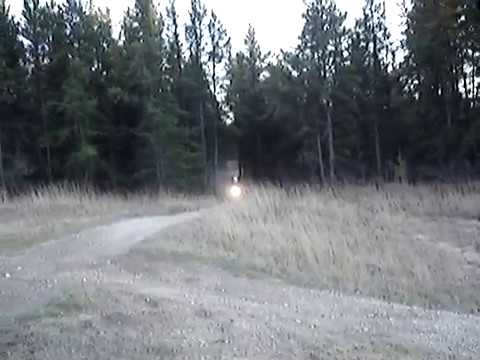 350 warrior 350 warrior