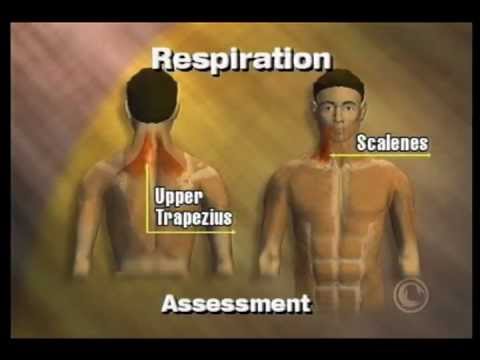 how to assess breathing