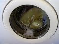 Wash-in @ Wiljan\ Wash-in @ Wiljan\
