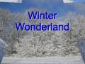 Winter Wonderland