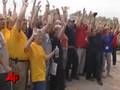 Dog Rescue Takes 2 Days, Hundreds Saved