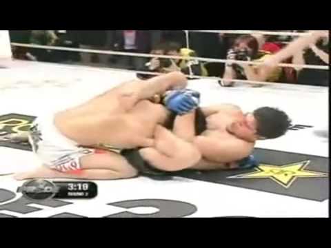 submissions - Here's my take on the top 10 MMA submissions. This is for submissions that occurred during a sanctioned professional Mixed Martial Arts bout. Therefore event...