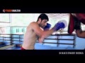 Hilltop Hoods “Super Official” Alex Schepis Highlight Reel @ Tiger Muay Thai & MMA