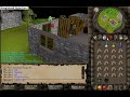 scamming whips