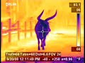 flir thermal infrared imaging camera