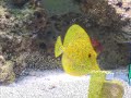 my 75 gal fishtank