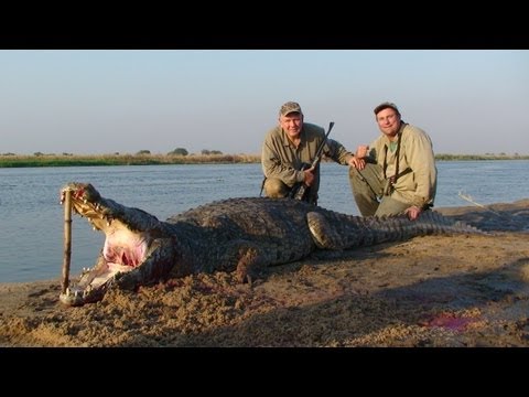 nile crocodile