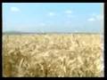 Bayburt "Anadolu daki �lk M�sl�man �ehir"
