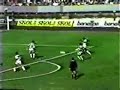 Palmeiras Final