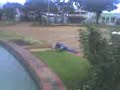 Bicho burro.3gp
