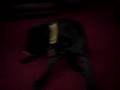 Rocky trying to get his tail