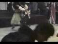 CUECA  BIEN BAILADA