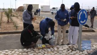 Thousands Coerced to Leave Israel